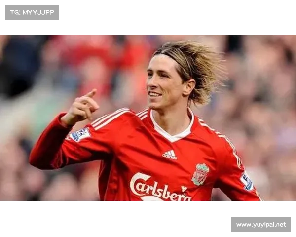 托雷斯绰号意义解析：刻画英雄形象